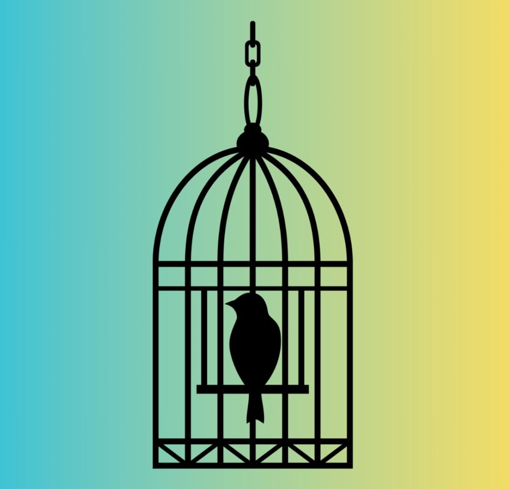 the shadow image of a bird in a cage